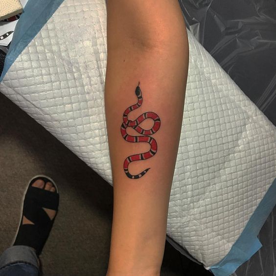 Kingsnake tattoo on the inner arm
