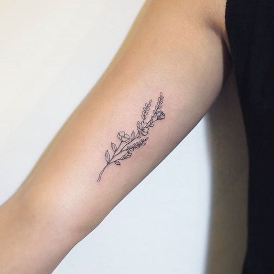 Sagebrush tattoo on the arm