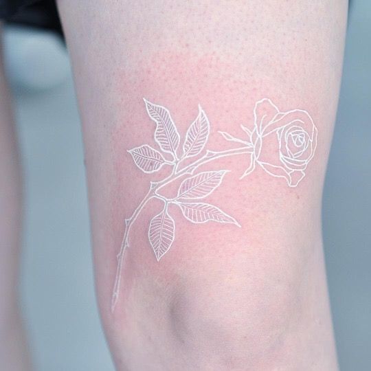 Delicate white rose tattoo on the thigh