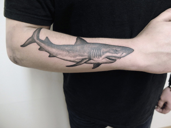 A dot work style shark tattoo on the right forearm