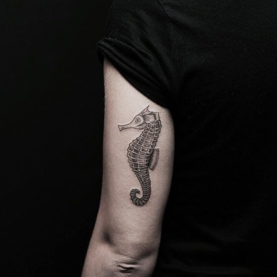 Beautiful black seahorse tattoo on the left upper arm