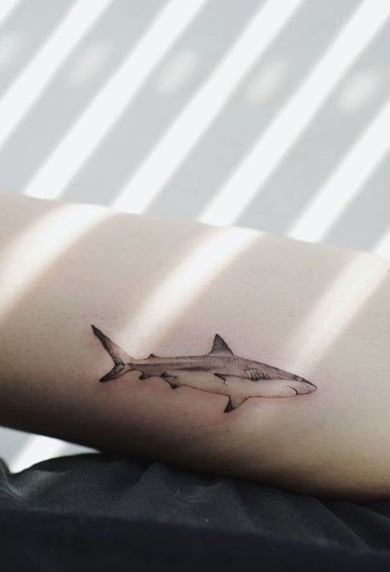 Beautiful simple shark tattoo
