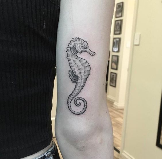 Black seahorse tattoo on the back of the arm by sarah akers
