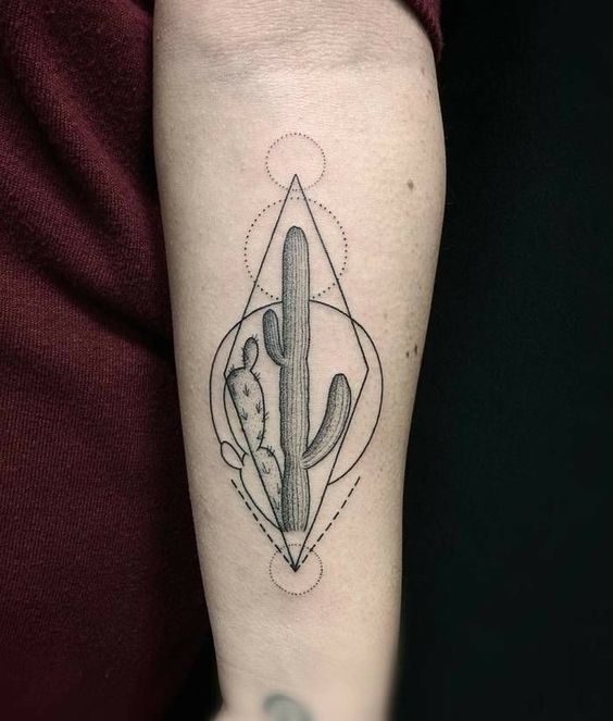 Cactus with the minimal dotted and dashed geometric shapes