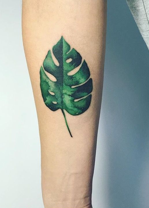Colorful monstera leaf tattoo by masha sgushonka