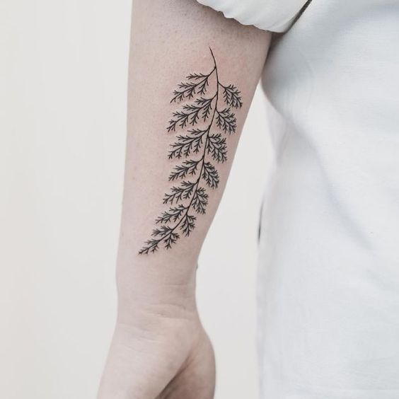 Delicate black fern leaf tattoo on the left forearm by hannah nova dudley