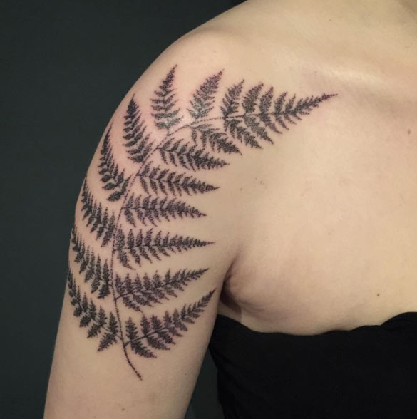 Dotwork fern tattoo on the right shoulder