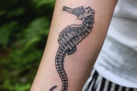 Seahorse Tattoo: 30 Most Beautiful Tattoo Ideas Of This Wonderful Sea Creature