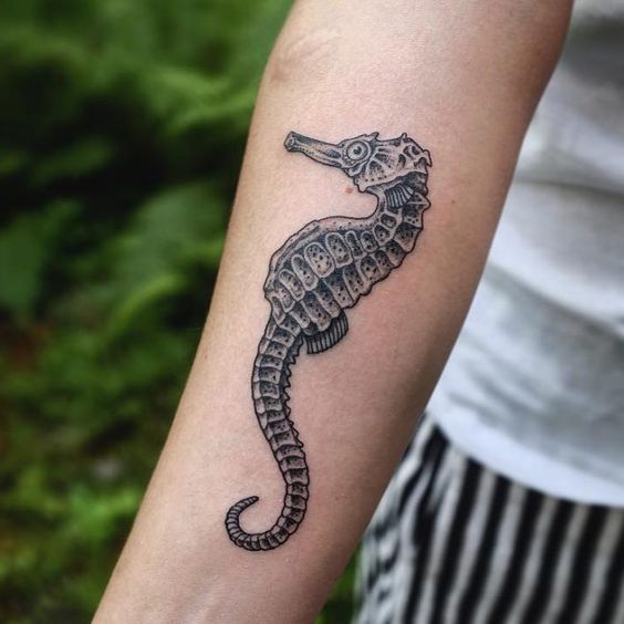 Dotwork style black seahorse tattoo on the forearm