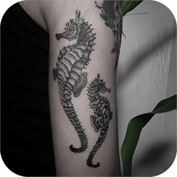 Double seahorse tattoo on the arm
