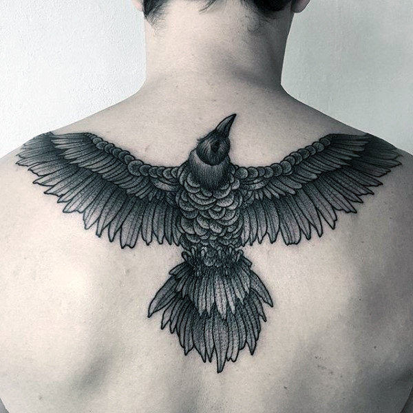 Grey raven with widespread wings tattoo on the back