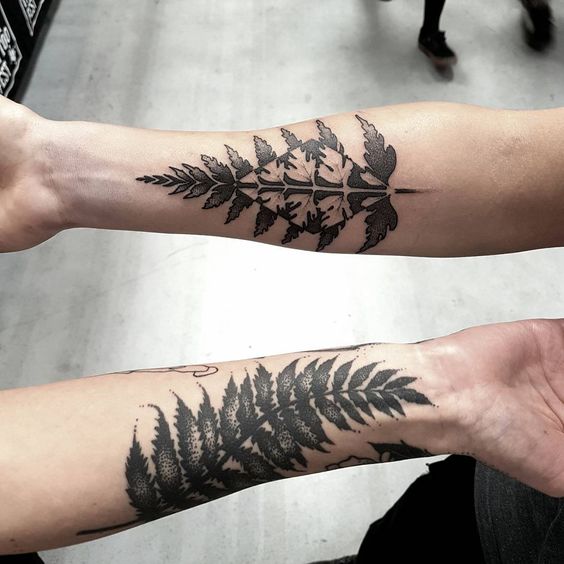 Matching fern leaves tattoos on both arms