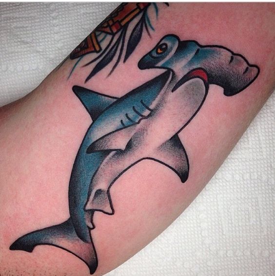 Old school style tattoo of a hammerhead shark by tony talbert
