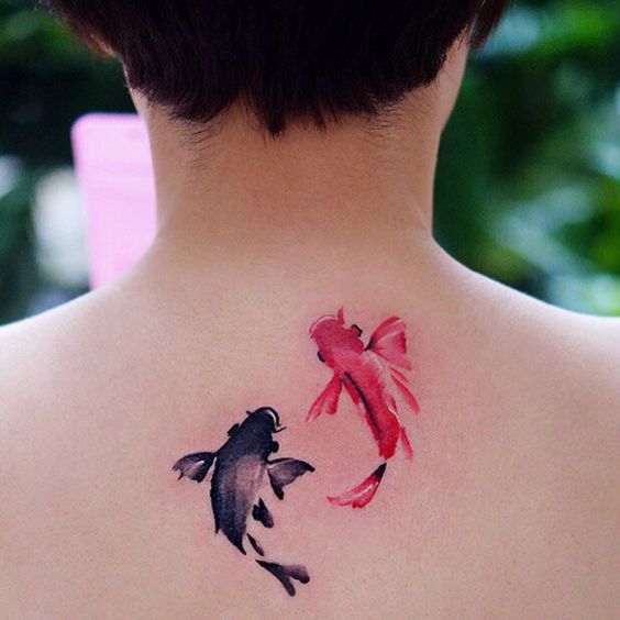 Pink and black Koi Fish tattoo on the upper back