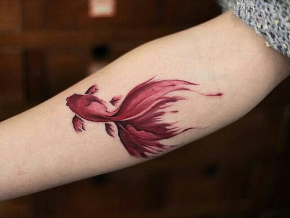 Red Koi Fish tattoo on the arm