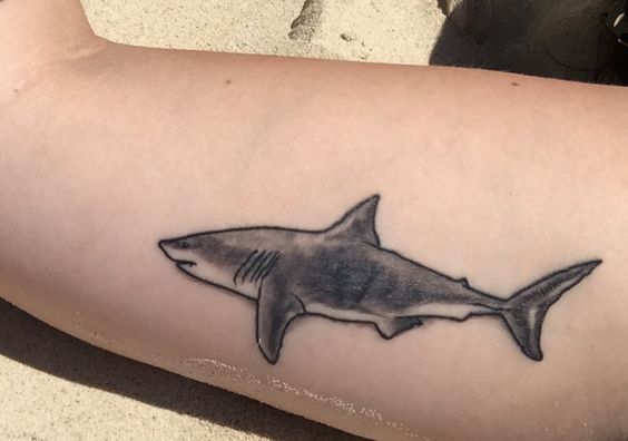 Simple shark tattoo on the right bicep