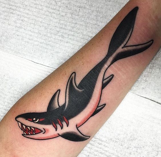 Traditional black and white shark tattoo by jacob cross