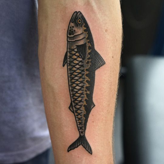 Traditional style fish tattoo on the inner arm by Philip Yarnell