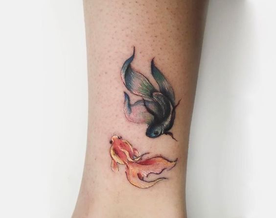 Wonderful two Koi Fish tattoo
