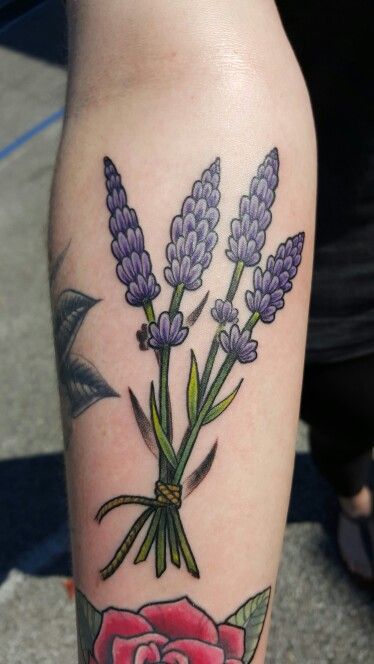 A bundle of lavander traditional tattoo on the forearm