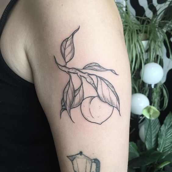 Black and grey peach on a branch tattoo