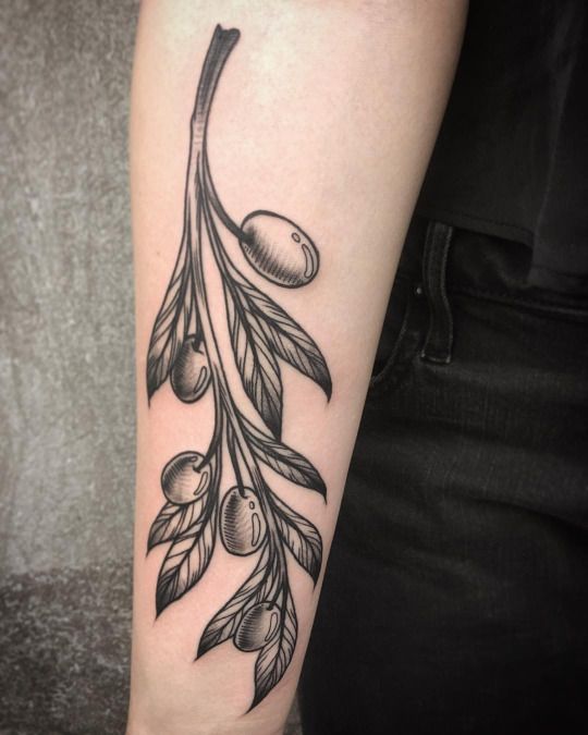 Blackwork style linear olive twig tattoo on the arm