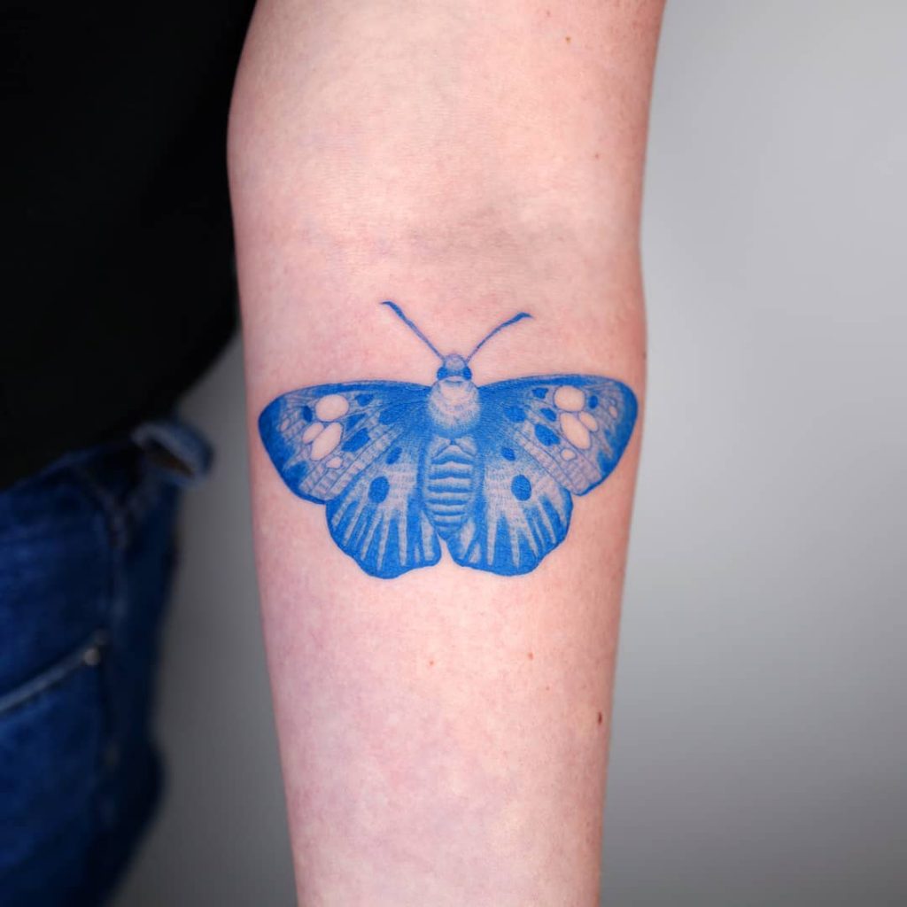 Blue moth by Studio Bysol