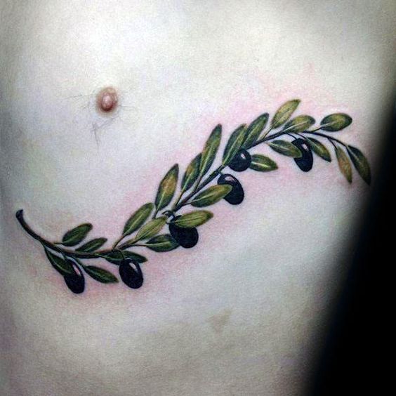 Branch with green leaves and black olives on the rib cage
