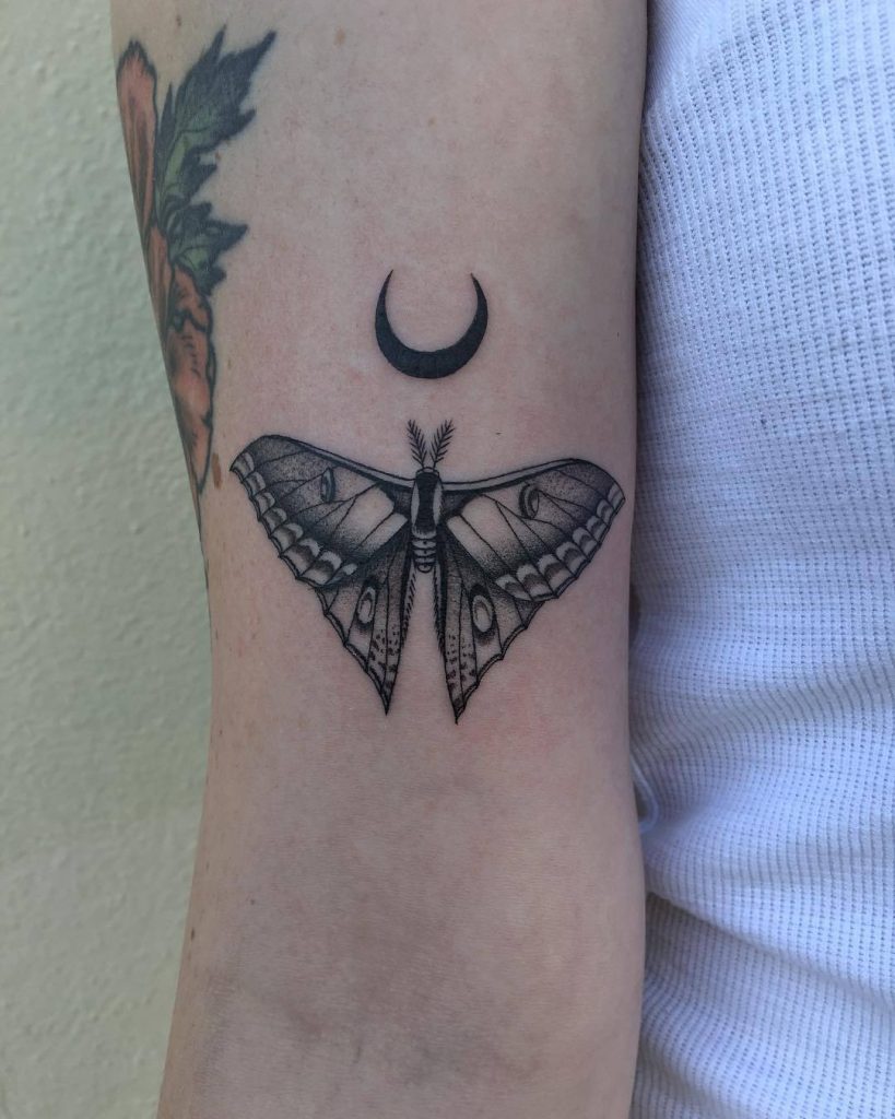 Crescent moon and moth by justin ryan olivier