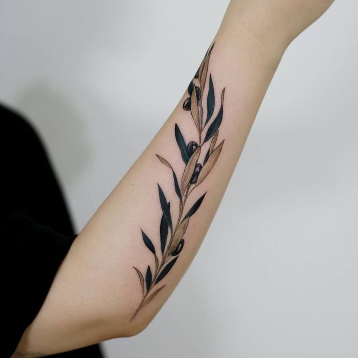 Delicate black olive branch tattoo on the forearm