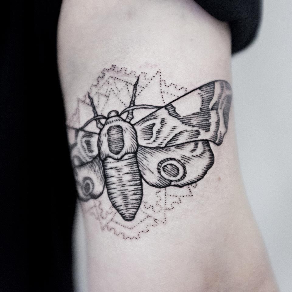 Excellent moth by tattoo artist dogma noir
