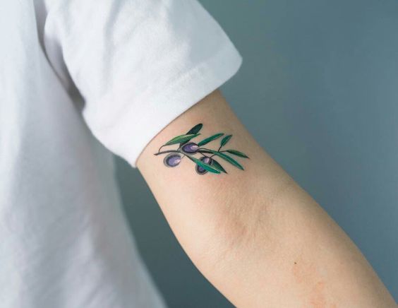 Excellent small olive branch on the arm