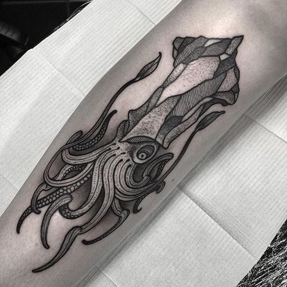 Geometric head squid