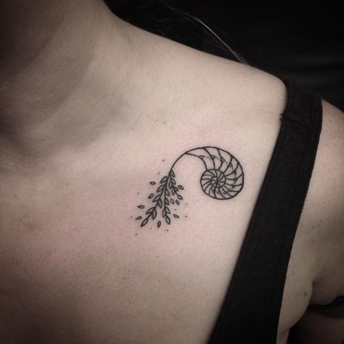 Golden proportion shell tattoo on the clavicle bone