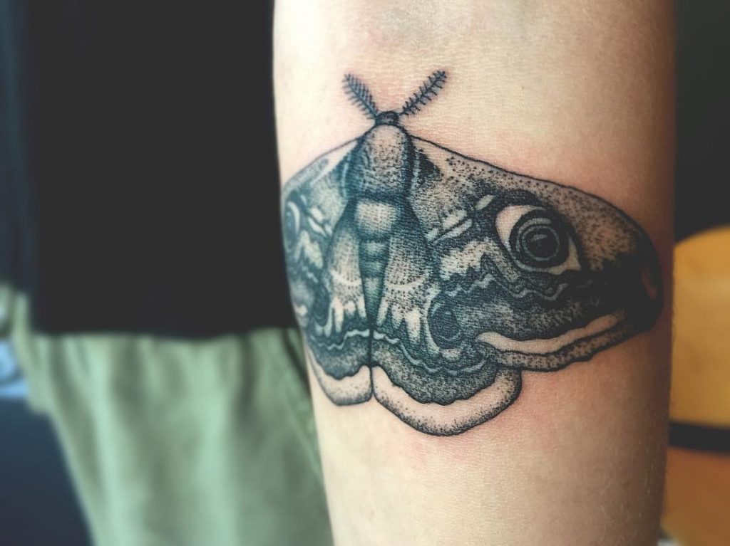 Hyper realistic black moth tattoo on the arm
