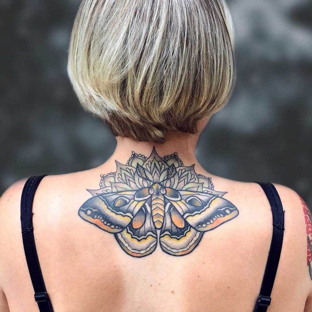 Ornamental moth by Jennie Tiesman