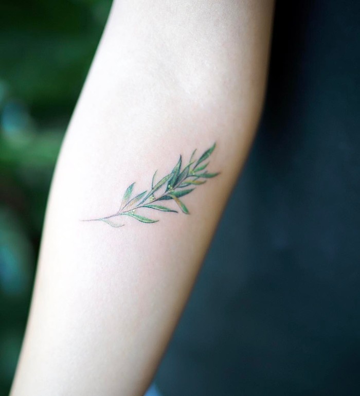Small green olive branch on the forearm