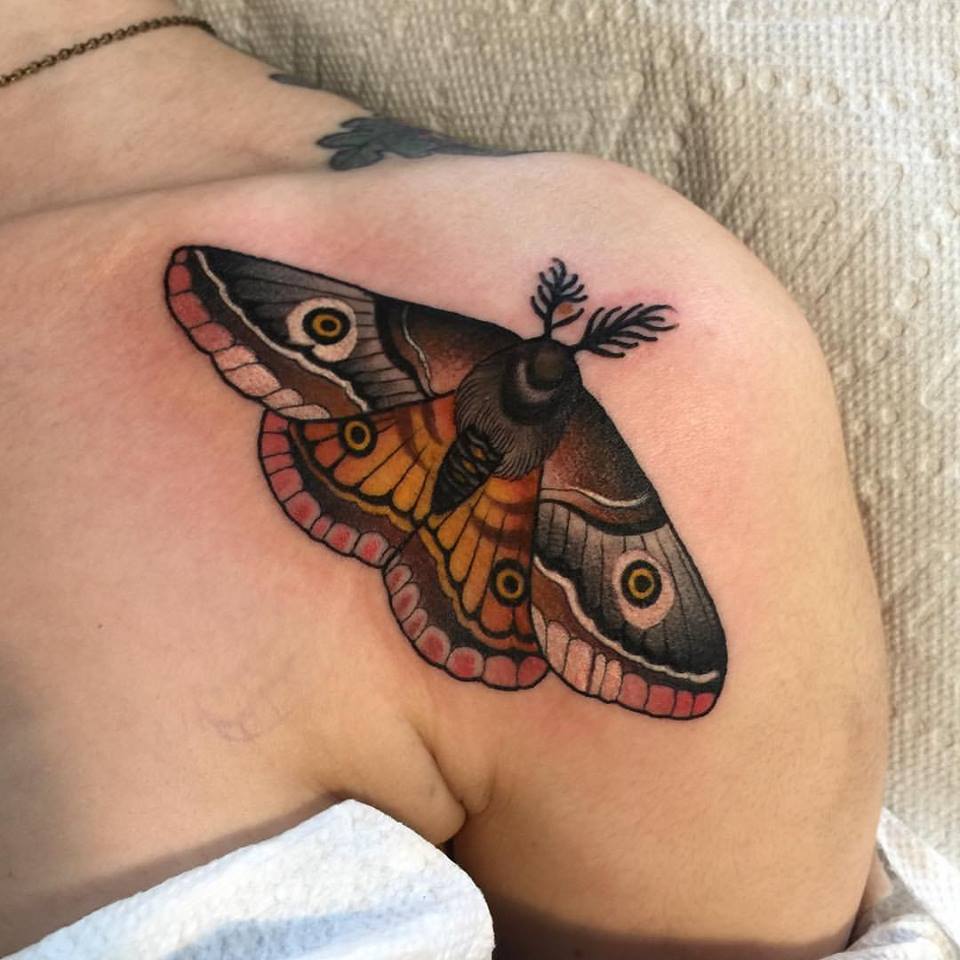 Traditional moth shoulder tattoo by matt adamson