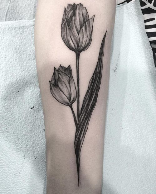 Blackwork tulip