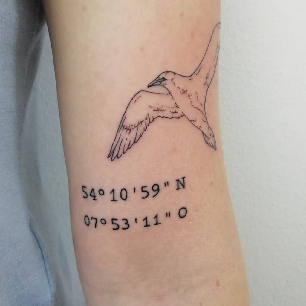 Linear seagull and coordinates on the inner arm