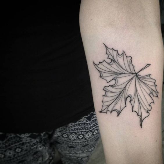 Linear maple leaf on the left forearm