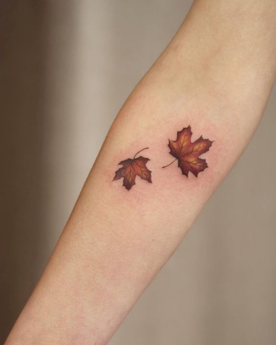 Small brown maple leaves