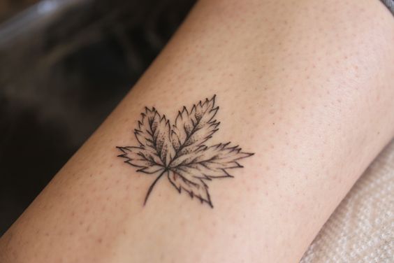 Small maple leaf by maria