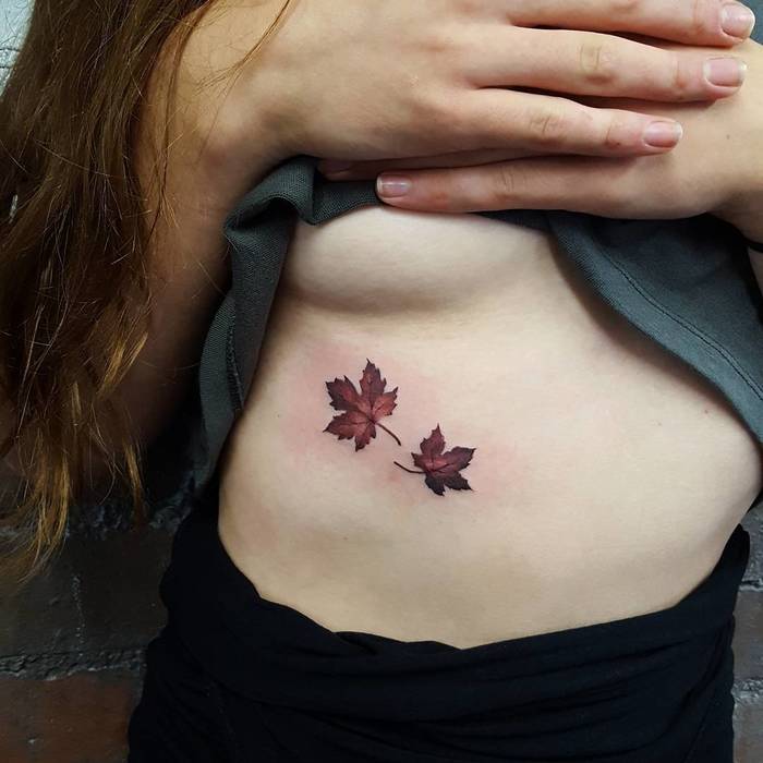 Two brown maple leaves on the belly
