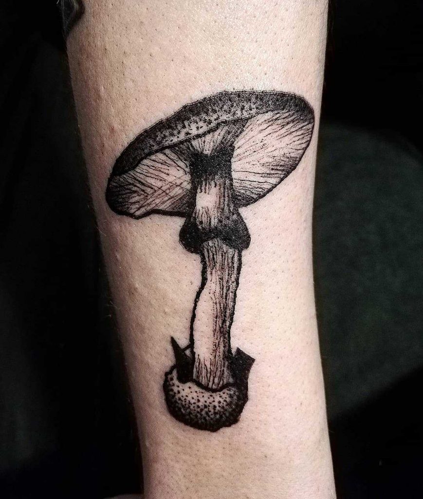 Dark mushroom tattoo by Sandra Jovanovic