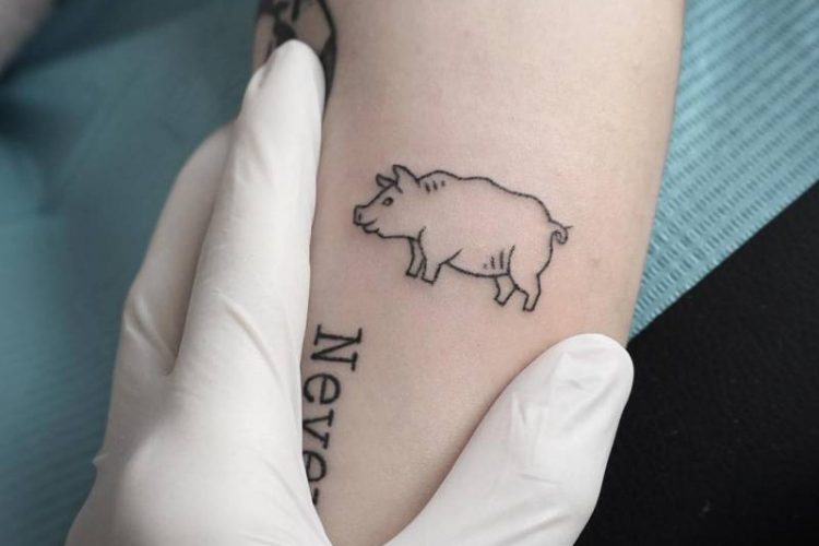 Hand poked tiny pig tattoo