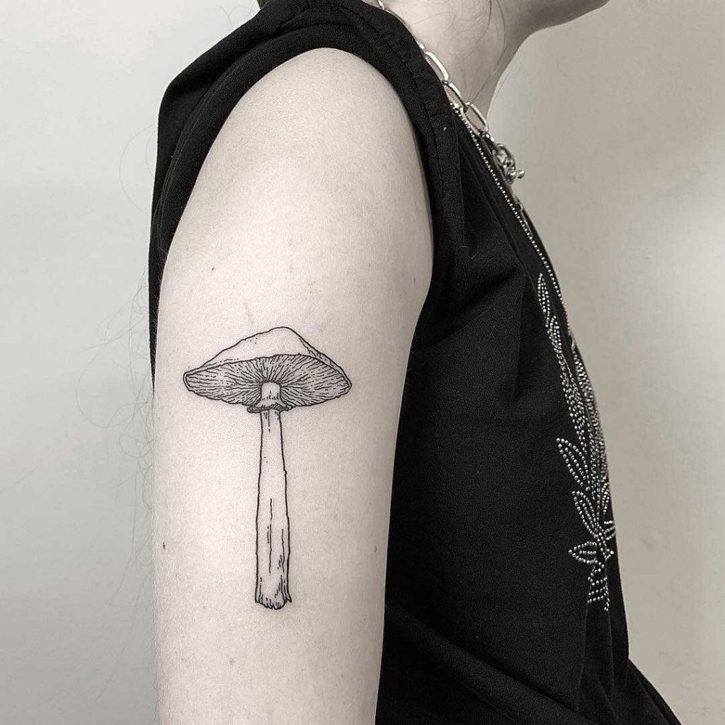 Mushroom tattoo on the right arm by Caro Lacid