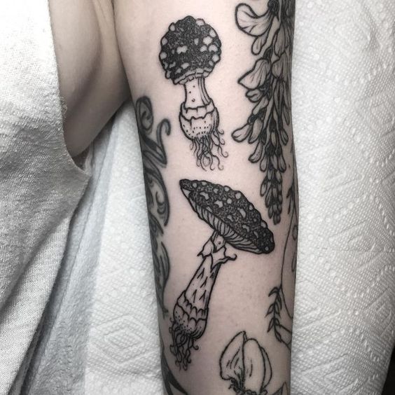 Two fungi on the arm