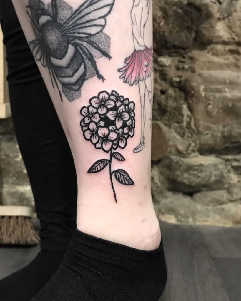 Black hortensia tattoo on an ankle