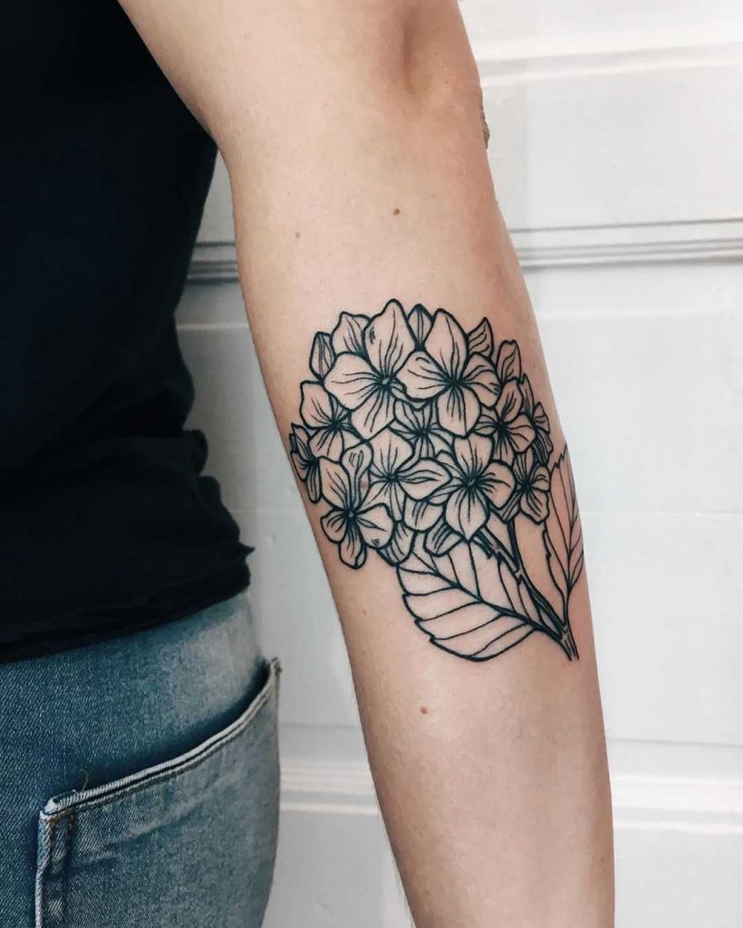 Outline hortensia tattoo